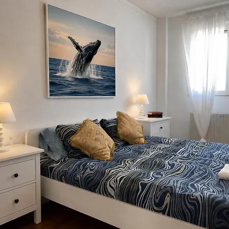 Cleo Apartment